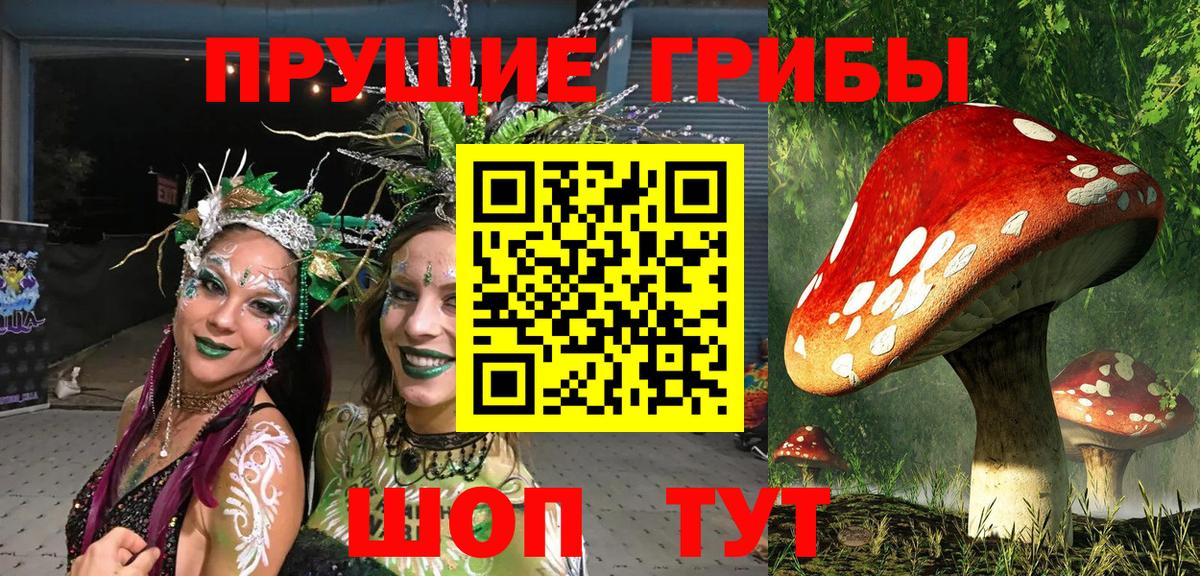 Галлюциногенные грибы ЛСД  купить  сайты  Мытищи  Вход с VPN 