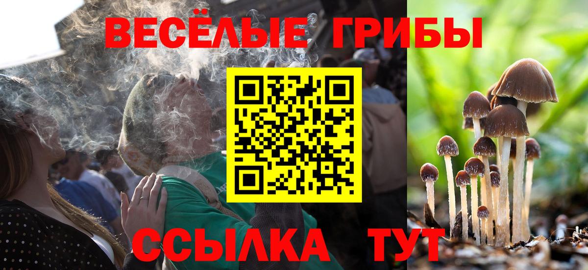 Псилоцибиновые грибы Psilocybine cubensis Мытищи
